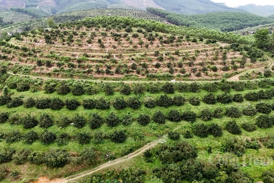 <a href="/ban-nha-nong" title="Bạn nhà nông" rel="dofollow">Bạn nhà nông</a>