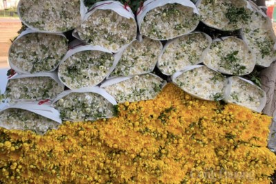 <a href="/ban-nha-nong" title="Bạn nhà nông" rel="dofollow">Bạn nhà nông</a>