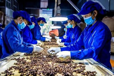 <a href="/thi-truong" title="Thị trường" rel="dofollow">Thị trường</a>