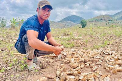 <a href="/ban-nha-nong" title="Bạn nhà nông" rel="dofollow">Bạn nhà nông</a>