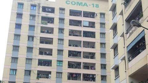 COMA 18 (CIG) đặt kế hoạch lợi nhuận năm 2022 gấp 12 lần
