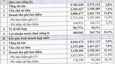 Một doanh nghiệp bảo hiểm đặt mục tiêu lợi nhuận "đi lùi" trong năm 2022, cổ phiếu đã tăng 15% trong vòng 1 tháng