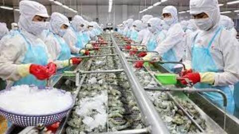 Quý I/2022, hoạt động nuôi trồng, chế biến thủy sản khôi phục mạnh mẽ