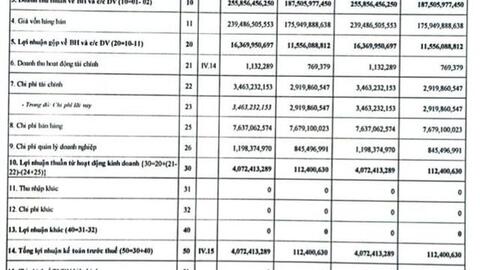 Đầu tư TDG Global (TDG): Quý 1/2022 lãi 4 tỷ đồng tăng mạnh so với cùng kỳ