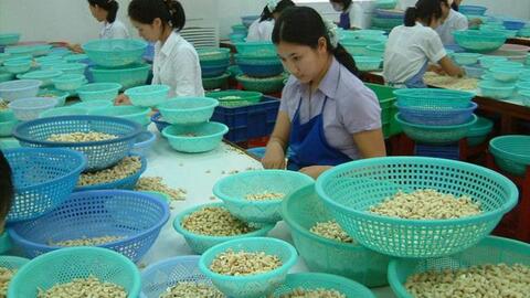 'Bẫy lừa' doanh nghiệp xuất khẩu