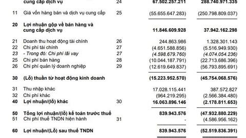 Yeah1 (YEG) thoát lỗ trong quý 1 nhờ thắng vụ kiện pháp lý với đối tác nước ngoài