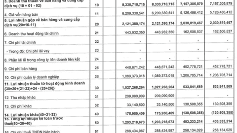 Gạch ngói Nhị Hiệp (NHC) báo lãi trước thuế Quý 1 tăng gấp 3 lần cùng kỳ 2021