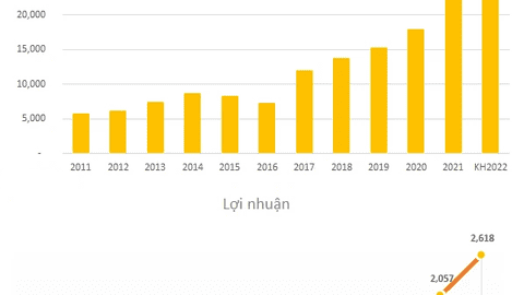 ĐHĐCĐ Gelex: Việc mua cổ phần doanh nghiệp nhà nước được thực hiện đúng luật, CEO Nguyễn Văn Tuấn cam kết mua 10 triệu cổ phiếu để đầu tư lâu dài