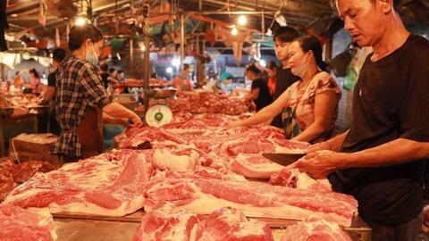 Giá lợn hơi tiếp đà giảm