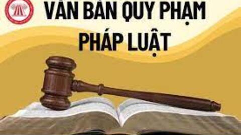 Rà soát, bãi bỏ văn bản quy phạm pháp luật thuộc thẩm quyền của Thủ tướng Chính phủ