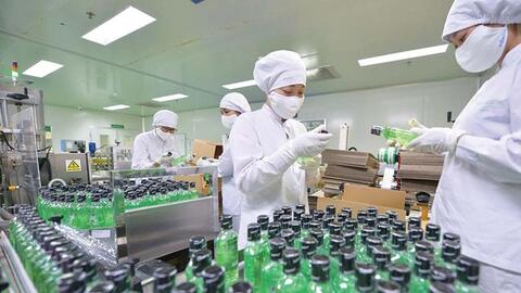 Traphaco dự chi 83 tỷ đồng tạm ứng cổ tức cho cổ đông
