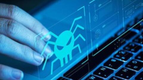 Hơn 300 website cơ quan nhà nước bị chèn nội dung không phù hợp