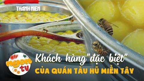 Bầy ong "mở hàng" quán tàu hũ miền Tây: Cộng tác viên dự báo thời tiết