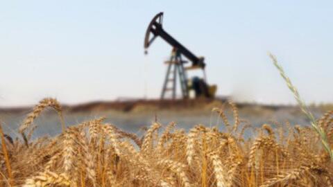 Thị trường hàng hóa ngày 18/5: Dầu vượt 80 USD/thùng, nông sản đồng loạt tăng giá