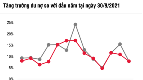 Chuyên gia SSI: Rủi ro nợ xấu đã phản ánh vào giá cổ phiếu, nhóm ngân hàng có thể bứt phá trong năm 2022