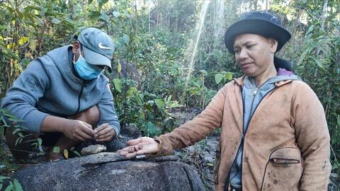 Độc đáo hạt kơ nia trên cao nguyên