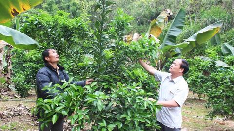 Những nông dân "triệu phú" vươn lên từ xóm nghèo