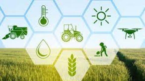 Phê duyệt Chiến lược phát triển nông nghiệp và nông thôn bền vững giai đoạn 2021 – 2030, tầm nhìn đến năm 2050