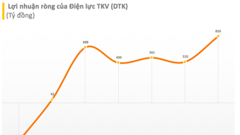 Điện lực TKV (DTK): Năm 2021 lãi 826 tỷ đồng – cao nhất kể từ khi cổ phần hoá