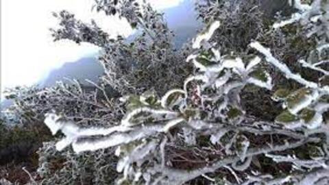 Dự báo thời tiết ngày 22/2: Bắc Bộ trời rét đậm, rét hại; khả năng xảy ra băng giá ở vùng núi