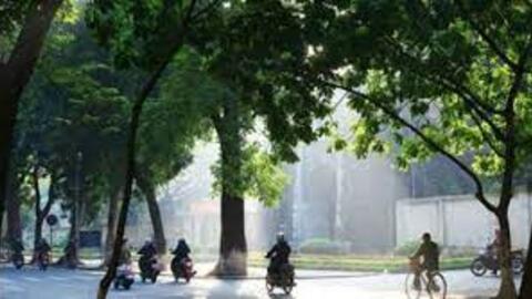 Dự báo thời tiết ngày 4/3: Bắc Bộ trời nắng ấm, sáng sớm có sương mù