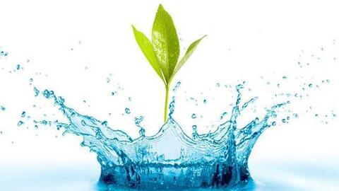 Biwase (BWE) đặt kế hoạch lãi sau thuế tối thiểu 750 tỷ đồng, tỷ lệ cổ tức dự kiến lên 13% năm 2022