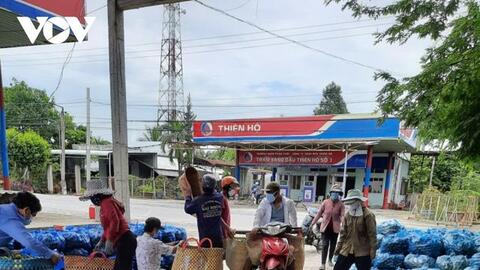 Giá chanh tăng gấp đôi, nhiều nhà vườn trúng đậm