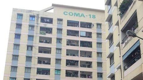 COMA 18 (CIG) đặt kế hoạch lợi nhuận năm 2022 gấp 12 lần