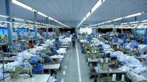 Gilimex (GIL) chốt thời gian chào bán 16,8 triệu cổ phiếu riêng lẻ