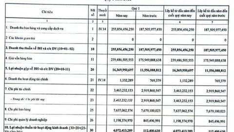 Đầu tư TDG Global (TDG): Quý 1/2022 lãi 4 tỷ đồng tăng mạnh so với cùng kỳ