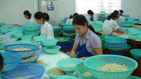 'Bẫy lừa' doanh nghiệp xuất khẩu