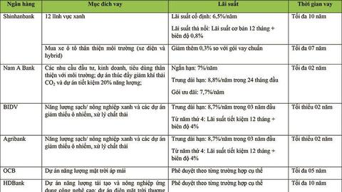 Thực trạng tín dụng xanh tại các ngân hàng thương mại Việt Nam