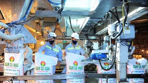 Giá phân bón lập mốc kỷ lục: Doanh nghiệp 'té nước theo mưa'?