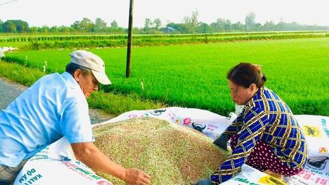 Nỗ lực kìm giá phân bón