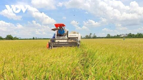 Áp lực giá phân bón "phi mã"