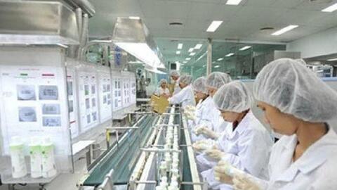 Tổng công ty Dược Việt Nam: Lợi nhuận quý I giảm nhẹ