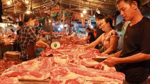 Giá lợn hơi tiếp đà giảm