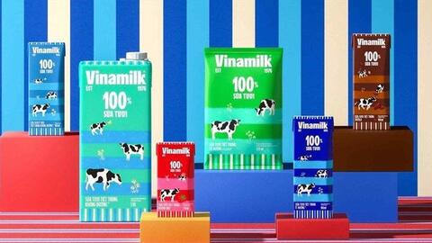 Lợi nhuận quý 3/2023 của Vinamilk cao nhất hai năm, cầm hơn 26.500 tỷ tiền mặt và tiền gửi