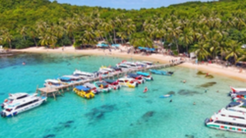 Sôi động dịch vụ tour Tết 2024