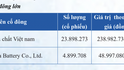 Đột biến tại công ty cung cấp 100% ắc quy chì acid cho xe điện VinFast