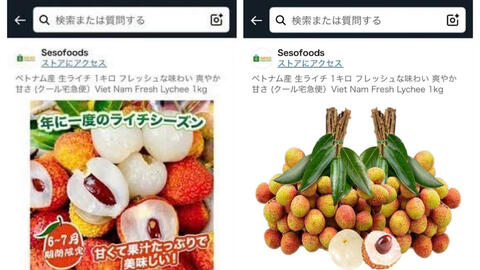 Vải thiều Việt Nam bán trên sàn Amazon Nhật Bản với giá nửa triệu đồng/kg