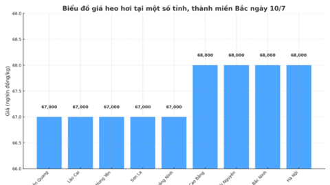 Giá heo hơi hôm nay 10/7/2025: Nhiều nơi đi ngang, 2 tỉnh giảm nhẹ