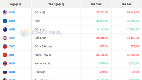 Tỷ giá USD hôm nay 26/07/2025: Đồng USD tăng giá nhưng sắp ghi nhận tuần giảm