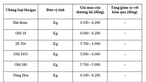 Giá lúa gạo hôm nay ngày 19/8: Gạo xuất khẩu tiếp đà tăng, lúa vững giá