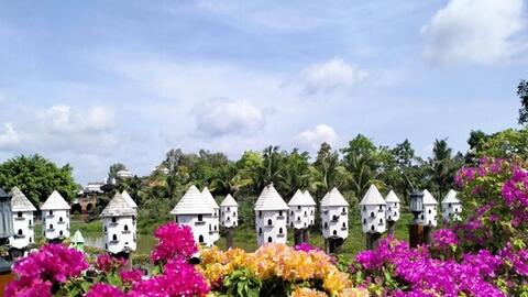 Sôi động dịp lễ 2/9 ở Trà Sư: Chuỗi sự kiện 4 ngày trọn vẹn cảm xúc