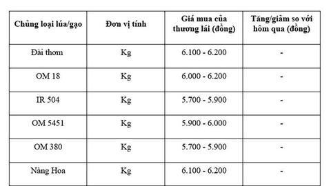 Giá lúa gạo hôm nay ngày 28/8: Lúa vững giá, gạo xuất khẩu đi ngang