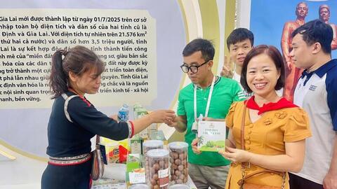 Sản vật Gia Lai hội tụ trong Triển lãm 80 năm thành tựu đất nước