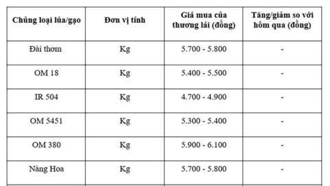 Giá lúa gạo hôm nay ngày 19/9: Gạo bình ổn, lúa tươi xu hướng tăng