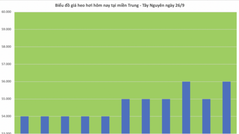 Giá heo hơi hôm nay 26/9/2025: Miền Trung, miền Nam giảm nhẹ
