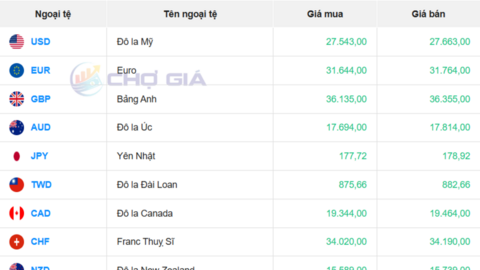 Tỷ giá USD hôm nay 28/10/2025: Chợ đen đi ngang, ngân hàng ổn định